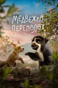 <h1>Медвежий переполох</h1>