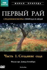 <h1>Первый Рай</h1>