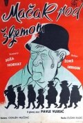 <h1>Кот под шлемом</h1>