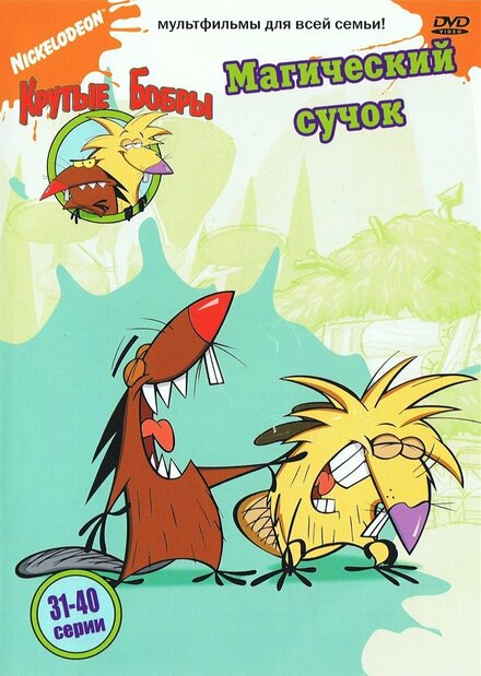 <h1>Крутые бобры</h1>