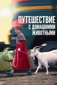 <h1>Путешествие с домашними животными</h1>