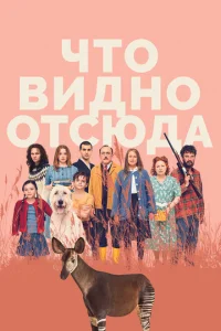 <h1>Что видно отсюда</h1>