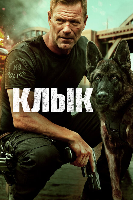 <h1>Клык</h1>