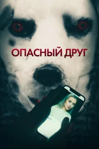 <h1>Опасный друг</h1>