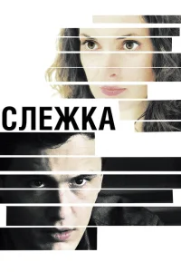 <h1>Слежка</h1>