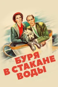 <h1>Буря в стакане воды</h1>