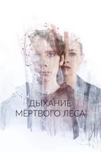 <h1>Дыхание мёртвого леса</h1>