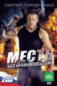 <h1>Месть без права передачи</h1>