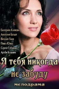 <h1>Я тебя никогда не забуду</h1>