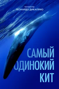 <h1>Самый одинокий кит на планете: в поисках Пятидесятидвухгерцового кита</h1>