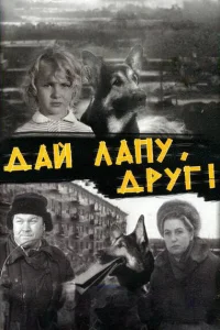 <h1>Дай лапу, Друг!</h1>