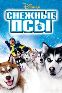 <h1>Снежные псы</h1>