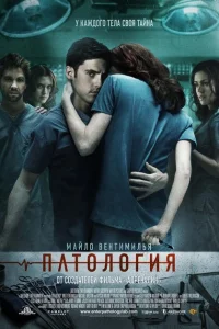 <h1>Патология</h1>
