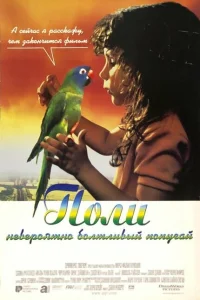 <h1>Поли</h1>