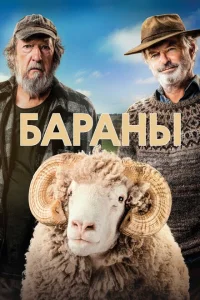 <h1>Бараны</h1>