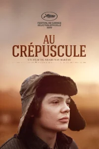 <h1>В сумерках</h1>
