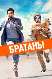 <h1>Сводные братья</h1>