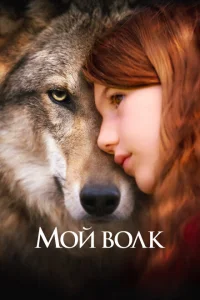<h1>Мой волк</h1>