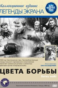 <h1>Цвета борьбы</h1>