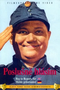 <h1>Швейк на фронте</h1>