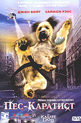 <h1>Пес – каратист</h1>