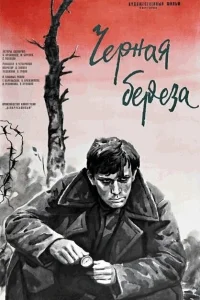<h1>Черная береза</h1>