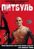 <h1>Питбуль</h1>
