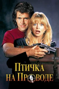<h1>Птичка на проводе</h1>