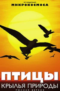 <h1>Птицы: Крылья природы</h1>