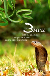 <h1>Змеи. Тайны самых смертоносных созданий на земле</h1>