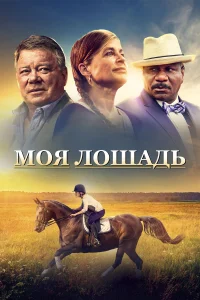 <h1>Моя лошадь</h1>